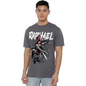 Mutant manji-devlin corporation TMNT TMNT Raphael Unisex T Shirt, Charcoal, Large Mutant manji-devlin corporation TMNT TMNT Raphael Unisex T Shirt, Charcoal, Large