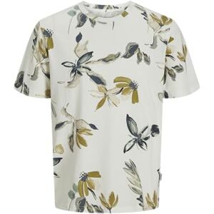 JACK & JONES Men's Jorvarenna AOP Tee SS Crew Neck, Cloud Dancer, S JACK & JONES Men's Jorvarenna AOP Tee SS Crew Neck, Cloud Dancer, S