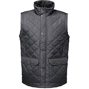 Regatta Men's Tyler Insulated Waterproof Bodywarmer Plain Turtleneck Sleeveless Outdoor Gilet Perfect for Walking, Hiking & Camping Regatta Men's Tyler Insulated Waterproof Bodywarmer Plain Turtleneck Sleeveless Outdoor Gilet Perfect for Walking, Hiking & Camping