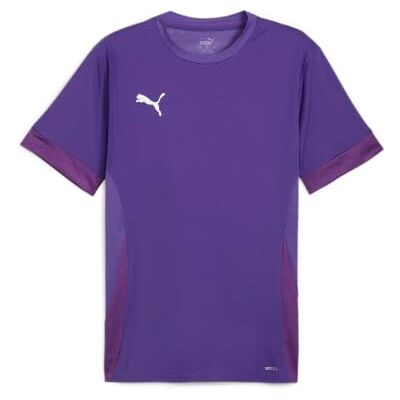 Puma Herren Sportshirt teamGOAL Matchday Jersey - Sports shirt Puma Herren Sportshirt teamGOAL Matchday Jersey - Sports shirt