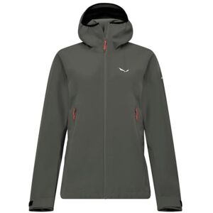 Salewa Puez Goretex 3L EPE Jacket W, faded green, L Salewa Puez Goretex 3L EPE Jacket W, faded green, L