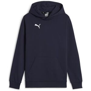 Puma teamGOAL Casuals Hoody Jr Puma teamGOAL Casuals Hoody Jr