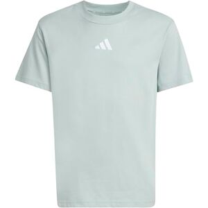 adidas Unisex Kids Essentials T-Shirt, Wonder Sage/White, 13-14 Years adidas Unisex Kids Essentials T-Shirt, Wonder Sage/White, 13-14 Years