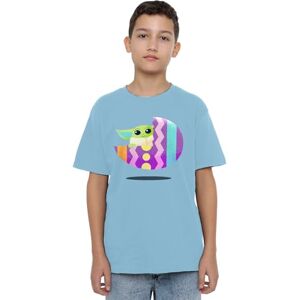 Star Wars Grogu's Easter Egg Ride Unisex Kids T Shirt, Light Blue, 3-4 Years Star Wars Grogu's Easter Egg Ride Unisex Kids T Shirt, Light Blue, 3-4 Years