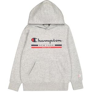 Champion Boy's Legacy Graphic Shop B (306837) -Ultra-Light Soft Compact Powerblend Fleece Hooded Sweatshirt, Grey (EM021), 3-4 Years Champion Boy's Legacy Graphic Shop B (306837) -Ultra-Light Soft Compact Powerblend Fleece Hooded Sweatshirt, Grey (EM021), 3-4 Years