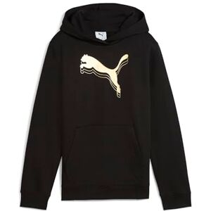 Puma ESS METALLIC Hoodie FL G Puma ESS METALLIC Hoodie FL G