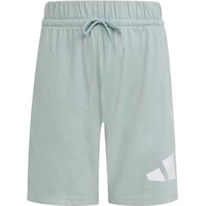 adidas Unisex Kids Essentials Big Logo Shorts, Wonder Sage/White, 7-8 Years adidas Unisex Kids Essentials Big Logo Shorts, Wonder Sage/White, 7-8 Years