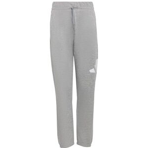 adidas Unisex Kids Essentials Big Logo Pants, Medium Grey Heather/White, 7-8 Years adidas Unisex Kids Essentials Big Logo Pants, Medium Grey Heather/White, 7-8 Years