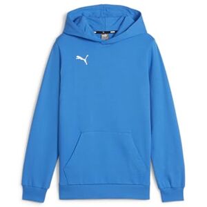 Puma Boys Teamgoal Casuals Hoody Jr Pullover, Ignite Blue- White, 128 EU Puma Boys Teamgoal Casuals Hoody Jr Pullover, Ignite Blue- White, 128 EU