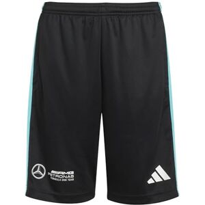 adidas Unisex Kids Mercedes AMG Petronas Formula ONE Team DNA Short Youth, Black/White, 11-12 Years adidas Unisex Kids Mercedes AMG Petronas Formula ONE Team DNA Short Youth, Black/White, 11-12 Years