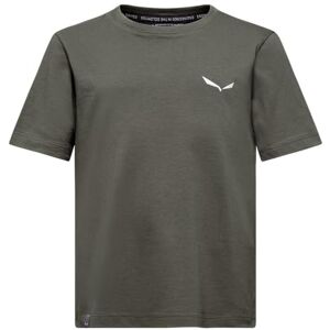 Salewa Kids Graphic T-Shirt, Faded Green, 92 EU Salewa Kids Graphic T-Shirt, Faded Green, 92 EU