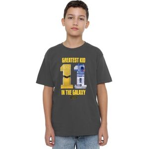 Star Wars Greatest Kid C3PO R2D2 Unisex Kids T Shirt, Charcoal, 12-13 Years Star Wars Greatest Kid C3PO R2D2 Unisex Kids T Shirt, Charcoal, 12-13 Years