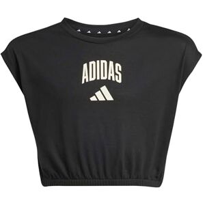 adidas Girl's Seasonals Collegiate Typography T-Shirt, Black/Off White, 9-10 Years adidas Girl's Seasonals Collegiate Typography T-Shirt, Black/Off White, 9-10 Years