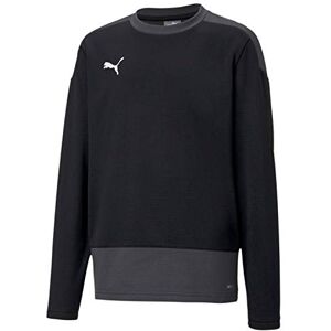 Puma Boys' Team Goal 23 Training Sweat Jr T-Shirt, Black-Asphalt, 176 Puma Boys' Team Goal 23 Training Sweat Jr T-Shirt, Black-Asphalt, 176