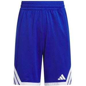 adidas Unisex Kids Y Everyday Pro Bball Short Shorts, Team Royal Blue/White, 15-16 Years adidas Unisex Kids Y Everyday Pro Bball Short Shorts, Team Royal Blue/White, 15-16 Years