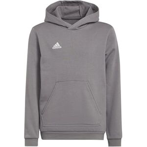 adidas Unisex Kids Entrada 22 Sweat Hoodie, Team Grey Four, 7-8 Years adidas Unisex Kids Entrada 22 Sweat Hoodie, Team Grey Four, 7-8 Years