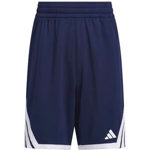 adidas Unisex Kids Y Everyday Pro Bball Short Shorts, Team Navy Blue/White, 5-6 Years adidas Unisex Kids Y Everyday Pro Bball Short Shorts, Team Navy Blue/White, 5-6 Years