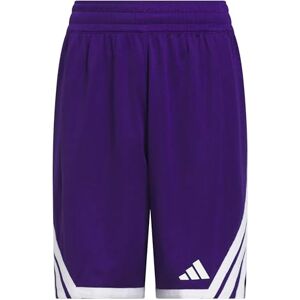 adidas Unisex Kids Y Everyday Pro Bball Short Shorts, Team Colleg Purple, 15-16 Years adidas Unisex Kids Y Everyday Pro Bball Short Shorts, Team Colleg Purple, 15-16 Years