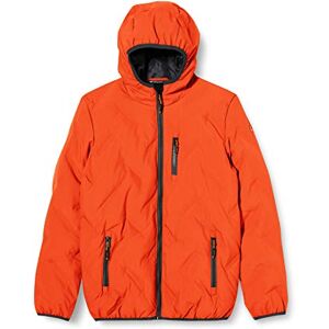 killtec Lynge Bys Boys' Quilted Jacket in Down Look with Hood, boys, Jacket in down look with hood, 35481-000, Orange, 128 killtec Lynge Bys Boys' Quilted Jacket in Down Look with Hood, boys, Jacket in down look with hood, 35481-000, Orange, 128