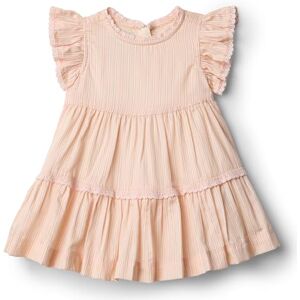 Amazon Essentials x Sofia Grainge Baby Girls' Woven Cotton Sateen Fit & Flare Casual Dress, Peach Classic Stripe, 3-6 Months Amazon Essentials x Sofia Grainge Baby Girls' Woven Cotton Sateen Fit & Flare Casual Dress, Peach Classic Stripe, 3-6 Months