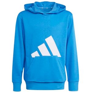 adidas Unisex Kids ESSENTIALS BIG LOGO HOODIE, ray blue/white, 9-10 Years adidas Unisex Kids ESSENTIALS BIG LOGO HOODIE, ray blue/white, 9-10 Years