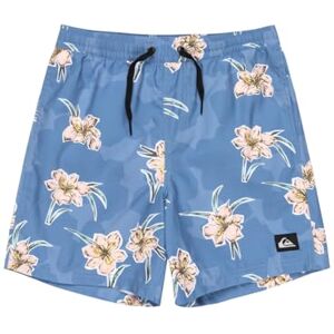 Quiksilver Boardshorts Everyday Straight Volley YTH14 Youth Blue 8 Quiksilver Boardshorts Everyday Straight Volley YTH14 Youth Blue 8