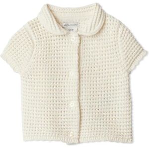 Amazon Essentials x Sofia Grainge Girls' Cotton Short-Sleeve Button Front Jumper with Peter Pan Collar, Ivory, 2 Years Amazon Essentials x Sofia Grainge Girls' Cotton Short-Sleeve Button Front Jumper with Peter Pan Collar, Ivory, 2 Years