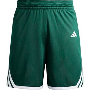 adidas Unisex Kids Y Everyday Pro Bball Short Shorts, Team Dark Green, 11-12 Years adidas Unisex Kids Y Everyday Pro Bball Short Shorts, Team Dark Green, 11-12 Years