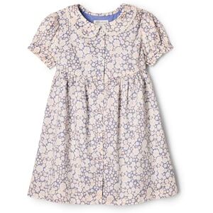 Amazon Essentials x Sofia Grainge Girls' Cotton Sateen Dress with Collar, Blue Ivory Delicate Floral, 4 Years Amazon Essentials x Sofia Grainge Girls' Cotton Sateen Dress with Collar, Blue Ivory Delicate Floral, 4 Years