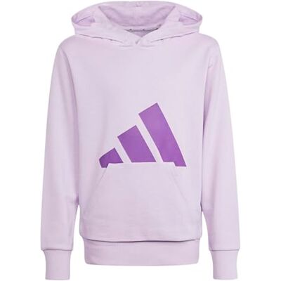 adidas Unisex Kids ESSENTIALS BIG LOGO HOODIE, ice lavender/active purple, 13-14 Years adidas Unisex Kids ESSENTIALS BIG LOGO HOODIE, ice lavender/active purple, 13-14 Years