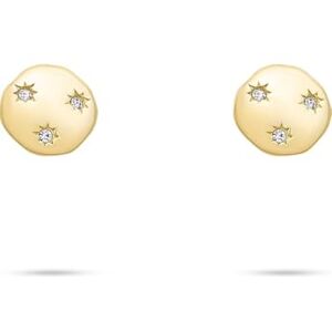 Tamaris Ladies Earrings TJ-0655-E-10 in Stainless Steel IP Gold Tamaris Ladies Earrings TJ-0655-E-10 in Stainless Steel IP Gold