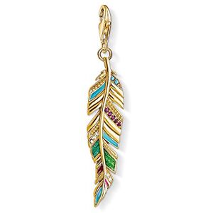 Thomas Sabo Women Charm Pendant Colourful Ethnic Feather 925 Sterling Silver Y0033-471-7 Thomas Sabo Women Charm Pendant Colourful Ethnic Feather 925 Sterling Silver Y0033-471-7