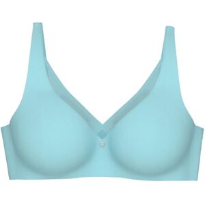 Triumph Women's True Shape Sensation T Minimizer Bra, Silver Blue, 34DD Triumph Women's True Shape Sensation T Minimizer Bra, Silver Blue, 34DD