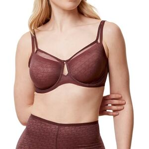 Triumph Women's Signature Sheer W01 EX Bra, Decadent Chocolate, 34D Triumph Women's Signature Sheer W01 EX Bra, Decadent Chocolate, 34D