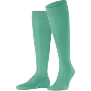FALKE Men's Tiago M Kh Fil D'Écosse Cotton Long Plain 1 Pair Knee-High Socks, Turquoise Ocean Green 7506, 7-8 FALKE Men's Tiago M Kh Fil D'Écosse Cotton Long Plain 1 Pair Knee-High Socks, Turquoise Ocean Green 7506, 7-8