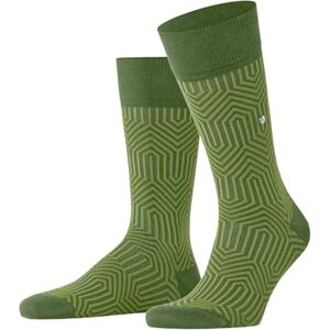 Burlington Men's Retrosphere M So Cotton Patterned 1 Pair Socks, Green Fir 7656, 6.5-11 Burlington Men's Retrosphere M So Cotton Patterned 1 Pair Socks, Green Fir 7656, 6.5-11