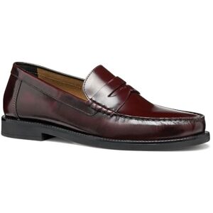 Geox Men's U RECANATI B Loafer, Wine, 7.5 UK Geox Men's U RECANATI B Loafer, Wine, 7.5 UK