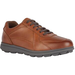 Geox Men's U Spherica Ec12 Sneaker, Cognac, 8 UK Geox Men's U Spherica Ec12 Sneaker, Cognac, 8 UK