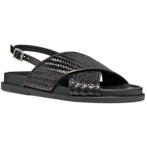 Geox Women's D ADELASH E Slide Sandal, Black, 7.5 UK Geox Women's D ADELASH E Slide Sandal, Black, 7.5 UK