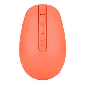 Rii Wireless Mouse for Laptop, RM700 Chromebook Mouse with 2.4G USB Nano Receiver,3 Adjustable DPI Levels(1600-2400-3200) Silent Mouse for Laptop, Desktop, Notebook PC, Windows 8/9/10, Chromebook