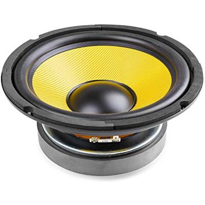 Fenton 8" HiFi Woofer Speaker Driver Kevlar Cone, 250W RMS, 500W Max, 8 Ohms, 27Hz-6kHz Frequency, Quality Replacement Loudspeaker Component for PA & Audio Systems Fenton 8" HiFi Woofer Speaker Driver Kevlar Cone, 250W RMS, 500W Max, 8 Ohms, 27Hz-6kHz Frequency, Quality Replacement Loudspeaker Component for PA & Audio Systems