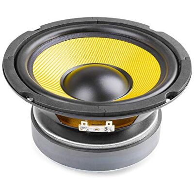 Fenton 6.5" HiFi Woofer Speaker Driver – 250W Kevlar Reinforced Cone, Rubber Surround, Vented Magnet, 8 Ohms, 125W RMS, Premium Hi-Fi Replacement Woofer, 902.423 Fenton 6.5" HiFi Woofer Speaker Driver – 250W Kevlar Reinforced Cone, Rubber Surround, Vented Magnet, 8 Ohms, 125W RMS, Premium Hi-Fi Replacement Woofer, 902.423