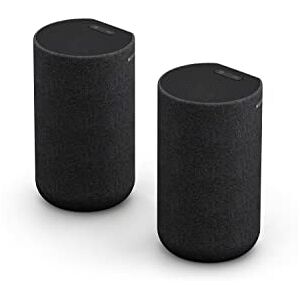 Sony Wireless Rear Speakers with Built-in Battery (SA-RS5) Sony Wireless Rear Speakers with Built-in Battery (SA-RS5)