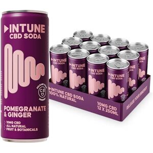 INTUNE - Pomegranate & Ginger Sparkling CBD Drink - 10 mg CBD INTUNE - Pomegranate & Ginger Sparkling CBD Drink - 10 mg CBD