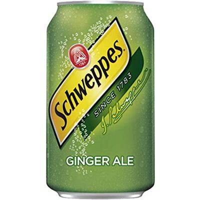 Schweppes Ginger Ale 33cl (Pack de 24) Schweppes Ginger Ale 33cl (Pack de 24)