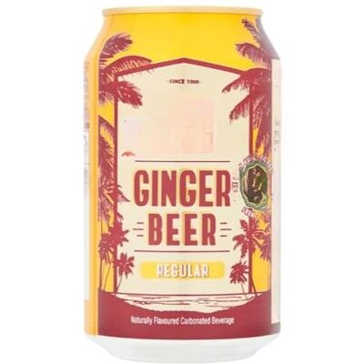 Dnaaz Ginger Beer 330ml (Pack of 12) Delicious And Tasty "A symphony of flavors" For All Occasions Dnaaz Ginger Beer 330ml (Pack of 12) Delicious And Tasty "A symphony of flavors" For All Occasions