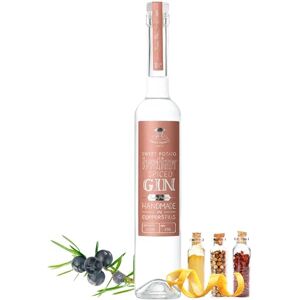 The Sweet Potato Spirit Co The Sweet Potato Spirit Indian Spiced Gin, 50cl 45% ABV, Vegan Flavoured Gin with Sweet Potatoes, Warm Spices & Zest Notes Ideal for Cocktails & Desserts The Sweet Potato Spirit Co The Sweet Potato Spirit Indian Spiced Gin, 50cl 45% ABV, Vegan Flavoured Gin with Sweet Potatoes, Warm Spices & Zest Notes Ideal for Cocktails & Desserts