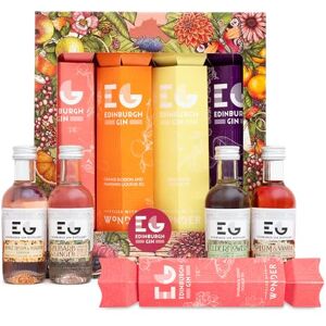 BEAMS INTERNATIONAL Gin Crackers by Edinburgh Gin Christmas Gin Alcohol Crackers, Luxury Flavoured Gins 4x 5cl Orange Blossom, Elderflower, Plum & Vanilla, Rhubarb and Ginger Liqueur Mini Christmas Cracker Gifts BEAMS INTERNATIONAL Gin Crackers by Edinburgh Gin Christmas Gin Alcohol Crackers, Luxury Flavoured Gins 4x 5cl Orange Blossom, Elderflower, Plum & Vanilla, Rhubarb and Ginger Liqueur Mini Christmas Cracker Gifts