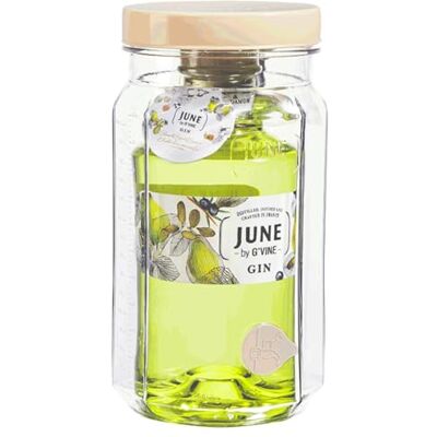 G'Vine June Royal Pear and Cardomom Flavoured Gin, with Cocktail-making Jar, 70cl, 37.5% ABV. Distilled, infused and crafted in France G'Vine June Royal Pear and Cardomom Flavoured Gin, with Cocktail-making Jar, 70cl, 37.5% ABV. Distilled, infused and crafted in France