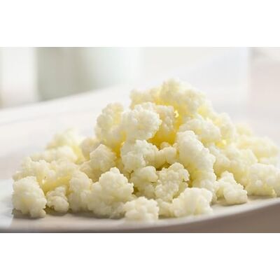 Kombuchaorganic 15g Organic Certified Milk Kefir Grains (UKAS Lab Tested) by ® Kombuchaorganic 15g Organic Certified Milk Kefir Grains (UKAS Lab Tested) by ®